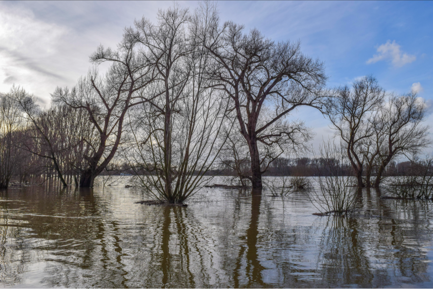Hausse des eaux à Clarence-Rockland : la population invitée à la prudence 